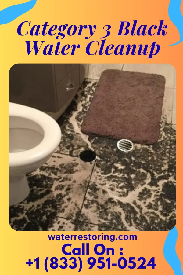 Category 3 Black Water Cleanup in Rose Farm, OH