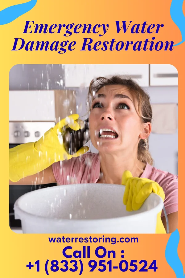 Emergency Water Damage Restoration in Rose Farm, OH