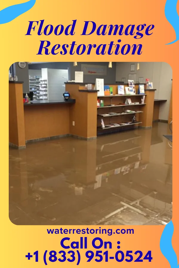Flood Damage Restoration in Rose Farm, OH