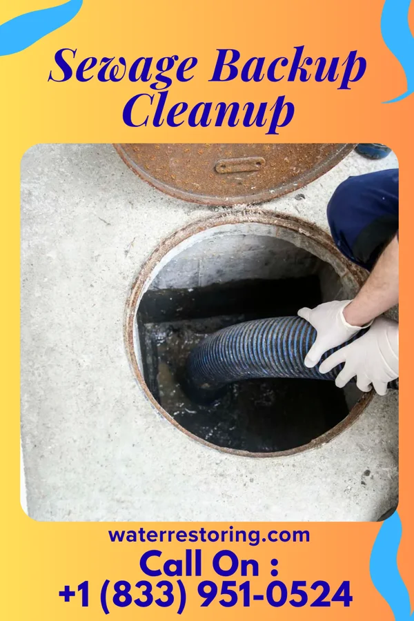 Sewage Backup Cleanup in Rose Farm, OH