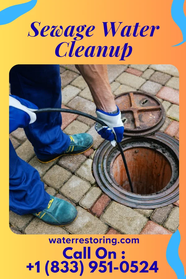 Sewage Water Cleanup in Rose Farm, OH