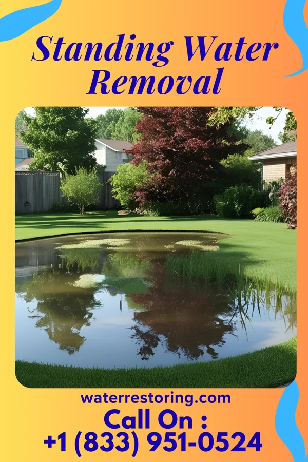 Standing Water Removal in Rose Farm, OH